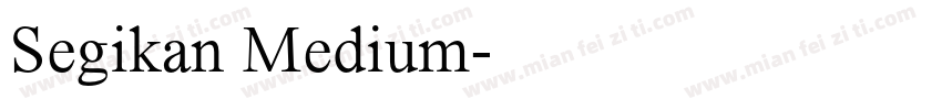 Segikan Medium字体转换